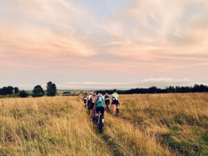 11ab35a0-d026-4793-a0fc-8b34a3ec6d6d_1_201_a-scaled