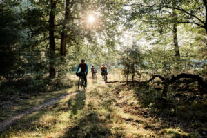 iris-wintercollection22-21