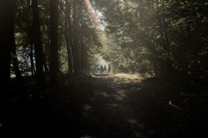 iris-wintercollection22-62