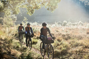 iris-wintercollection22-63