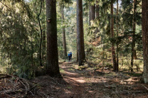 iris-wintercollection22-78