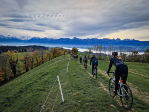 psx_20221115_165846_small