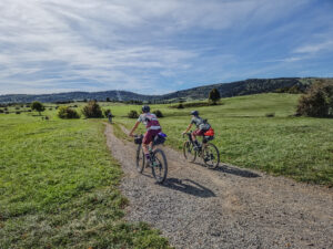 gg_tlynxp_sct_-123316