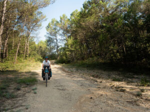 olympus-digital-camera-4