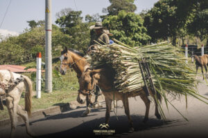 _dsc3870-2000px-copia