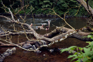 mdg-iris-makeway-205